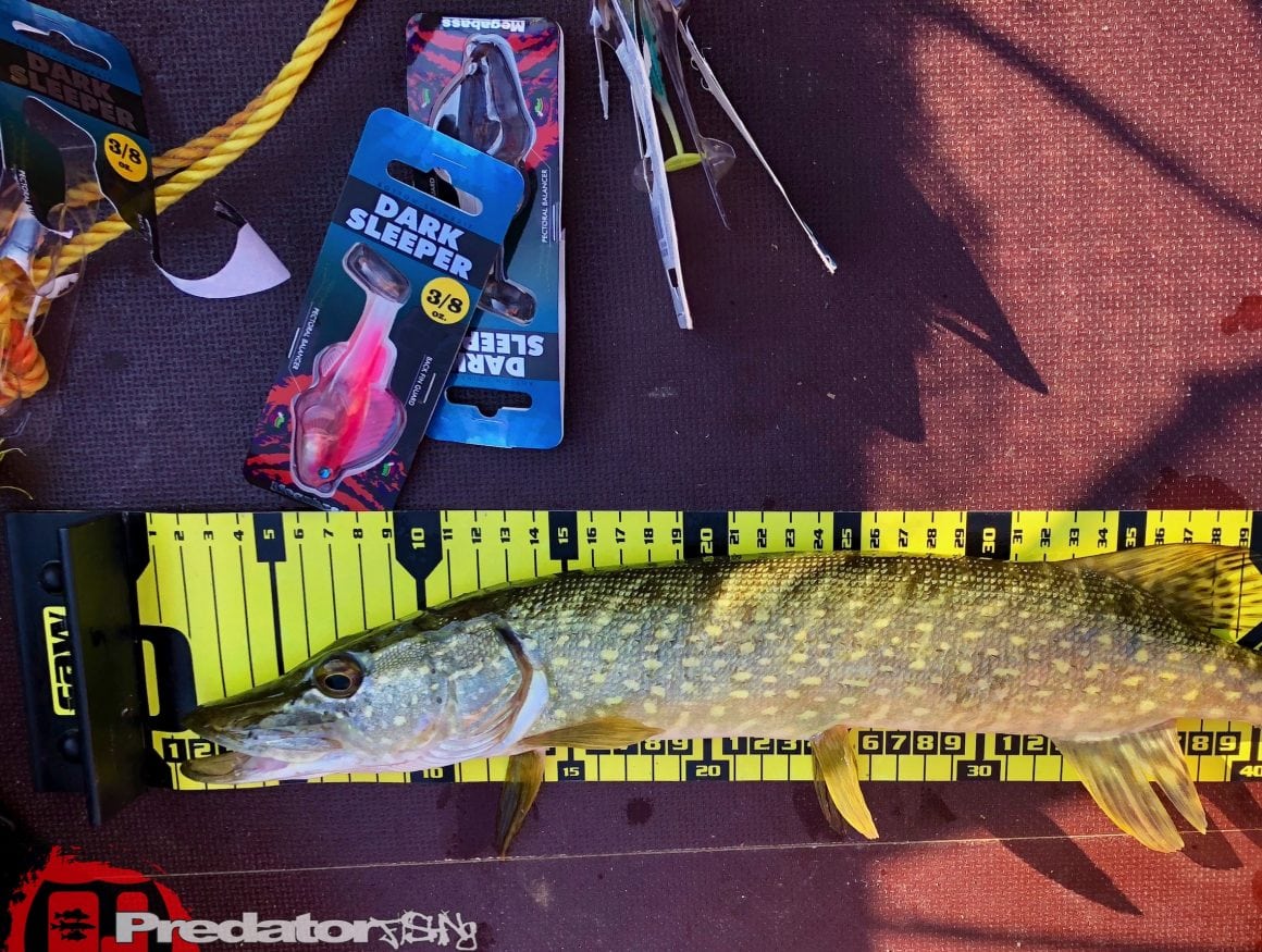 Megabass Dark Sleeper