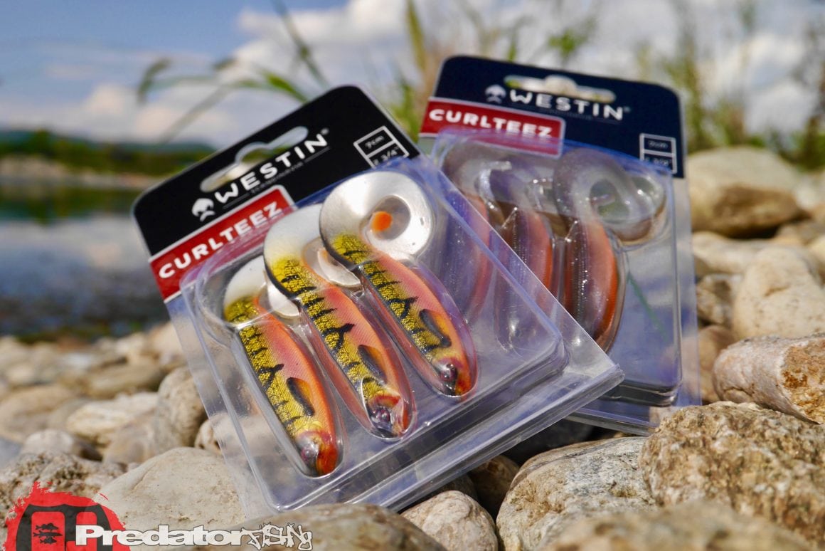 Westin Curlteez mit Round up Jigkopf