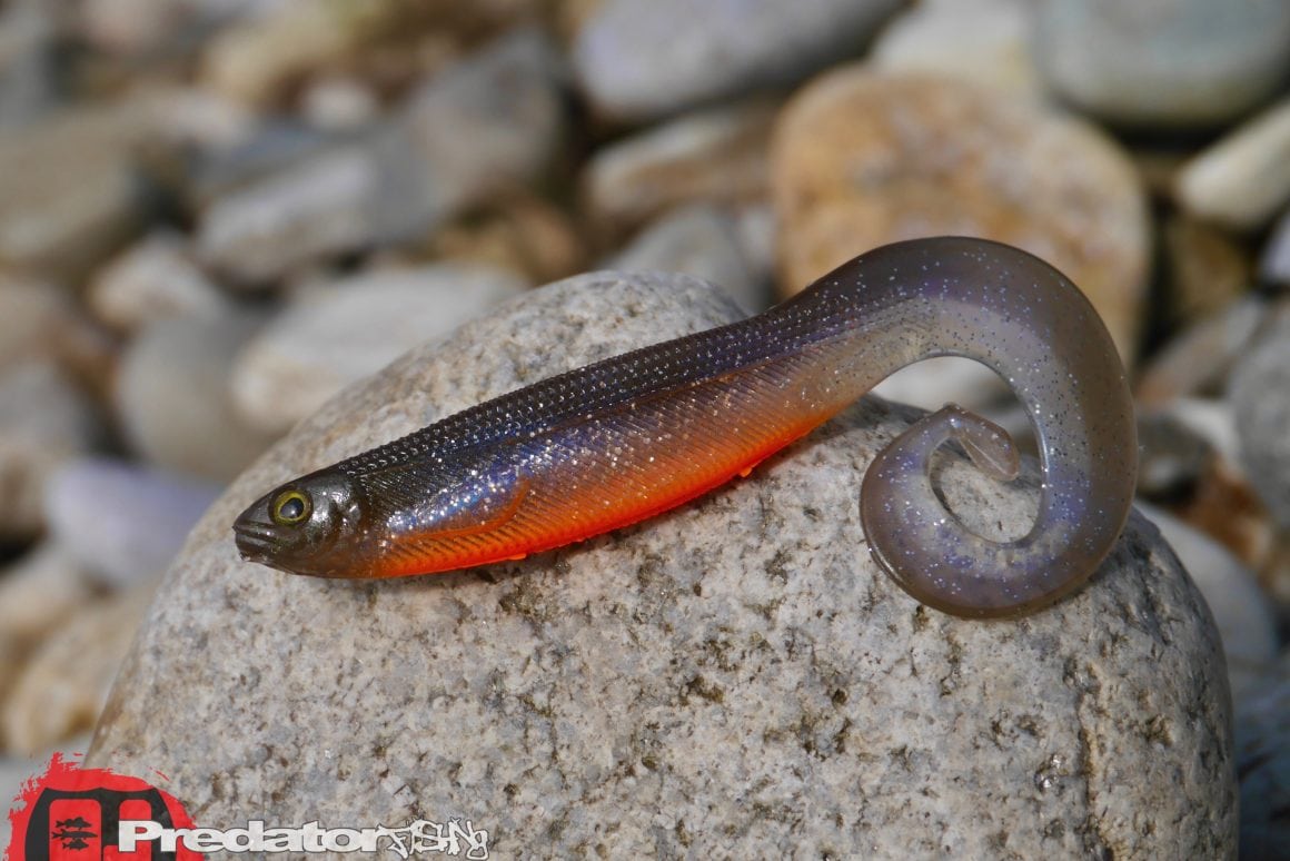 Westin Curlteez mit Round up Jigkopf