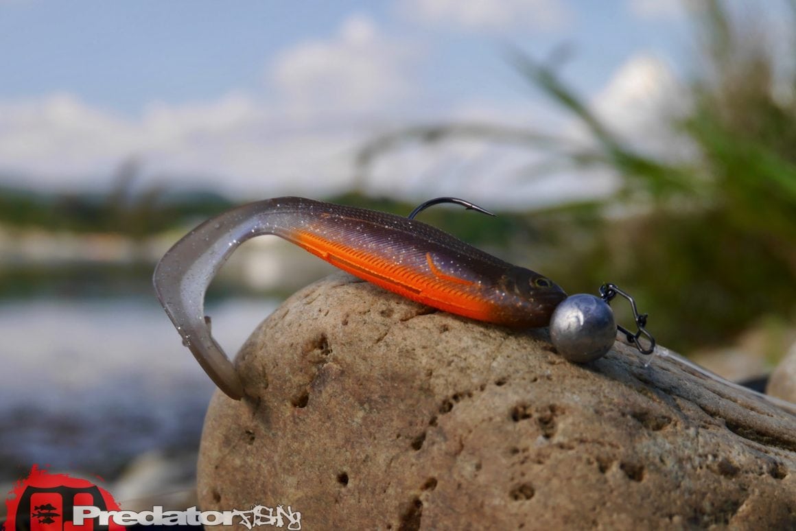 Westin Curlteez mit Round up Jigkopf