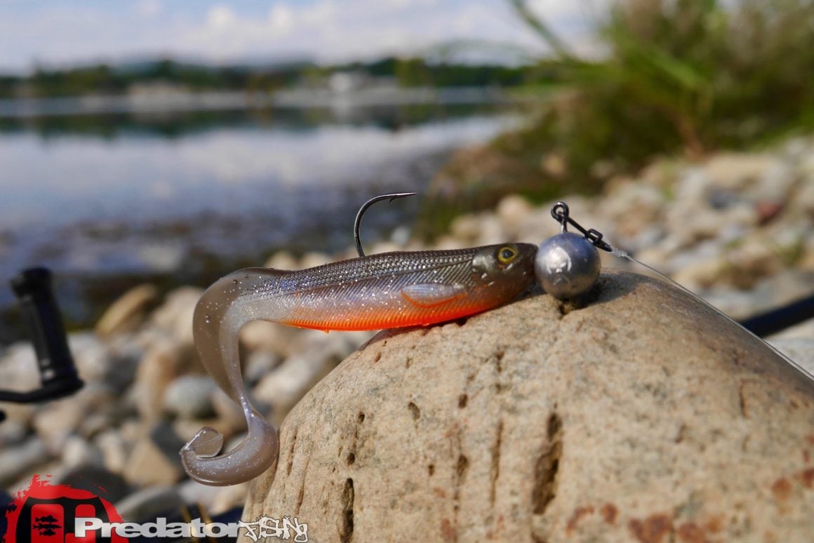 Westin Curlteez mit Round up Jigkopf