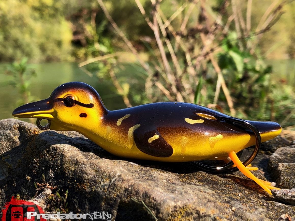 Westin Danny The Duck Hollow