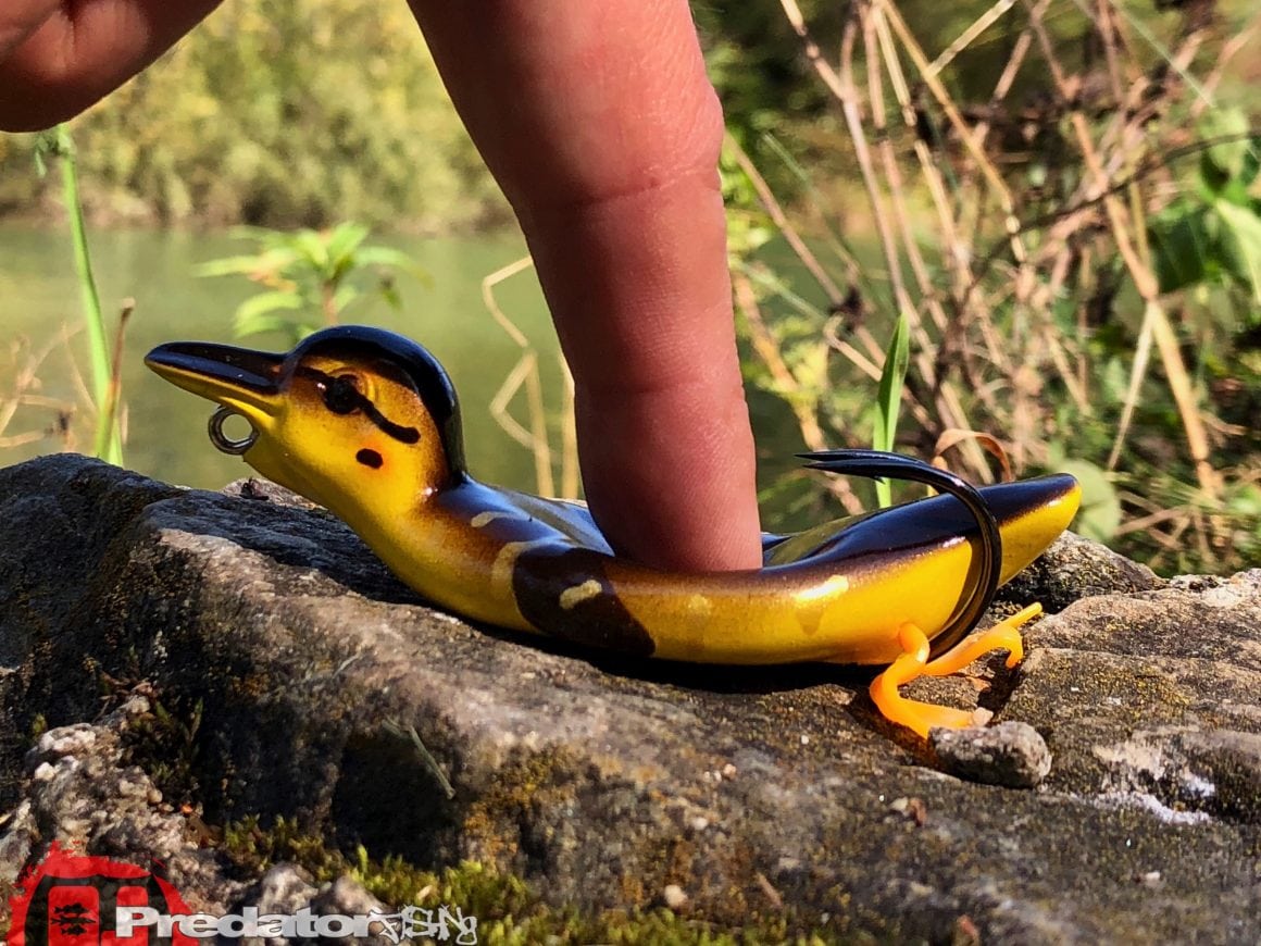 Westin Danny The Duck Hollow