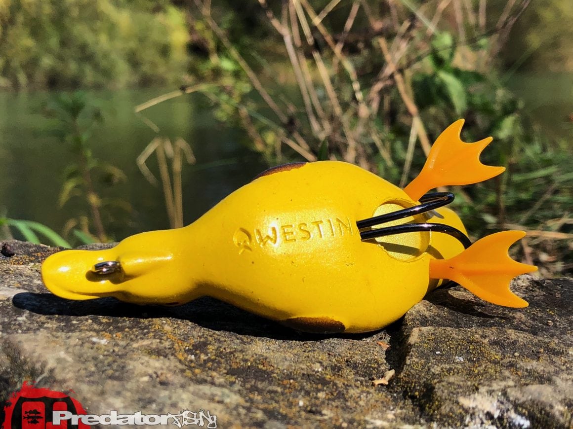 Westin Danny The Duck Hollow