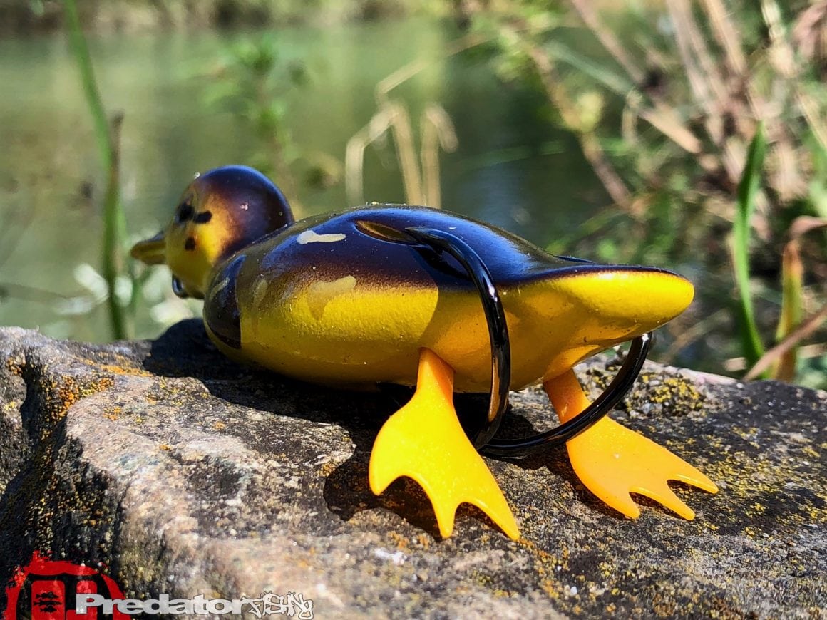 Westin Danny The Duck Hollow