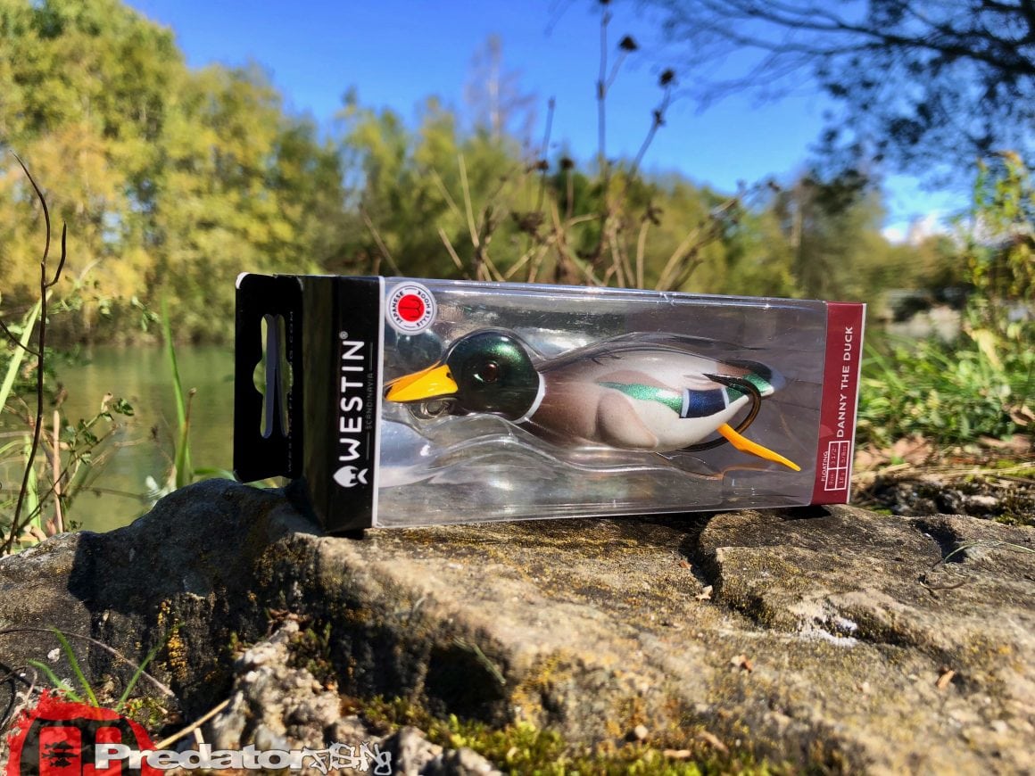 Westin Danny The Duck Hollow