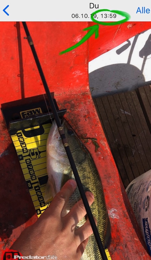 predator.fishing Cup 2019