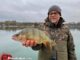 predatorfishing flussbarsch winter samitz
